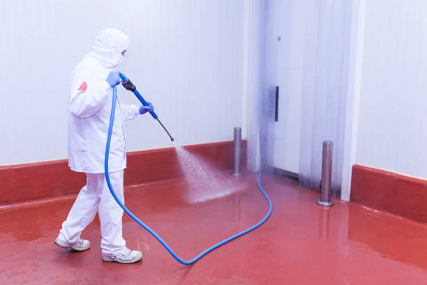 Reliable Palo Alto, CA  Pressure Washing Services Solutions